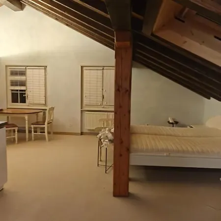 Haus Cristal - 1441m * ロイカーバード